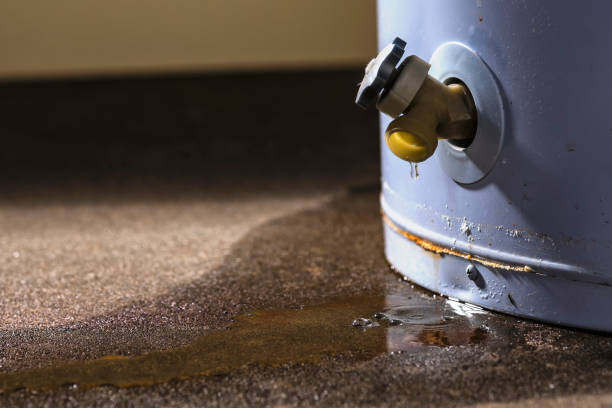 Best Sewage cleanup and water damage restoration  in Hays, KS
