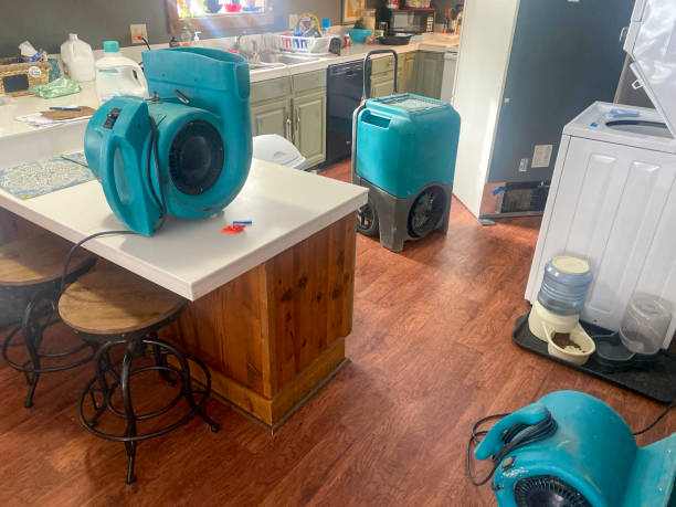 Best Basement water damage restoration  in Hays, KS