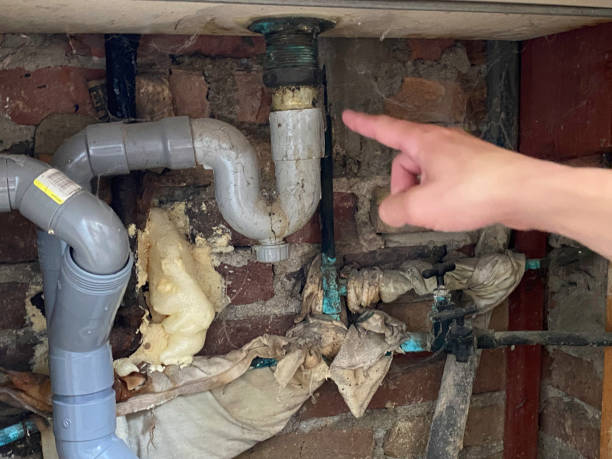 Best Water damage cleanup near me  in Hays, KS